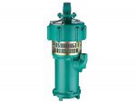 ปั๊มจุ่มเอนกประสงค์ QY (Multi-stage Submersible Pump)